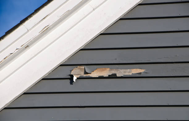 Same-Day Junk Removal Services in Jamestown, KY